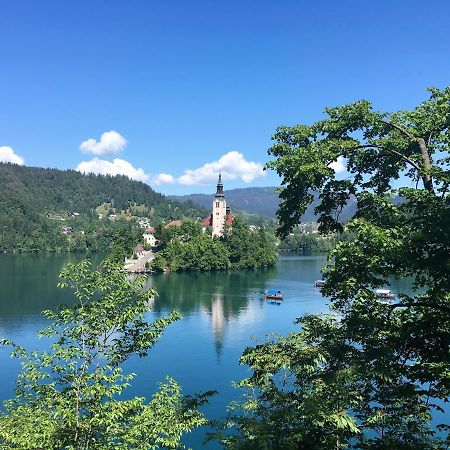 Sobe Brezje Panzió Kültér fotó