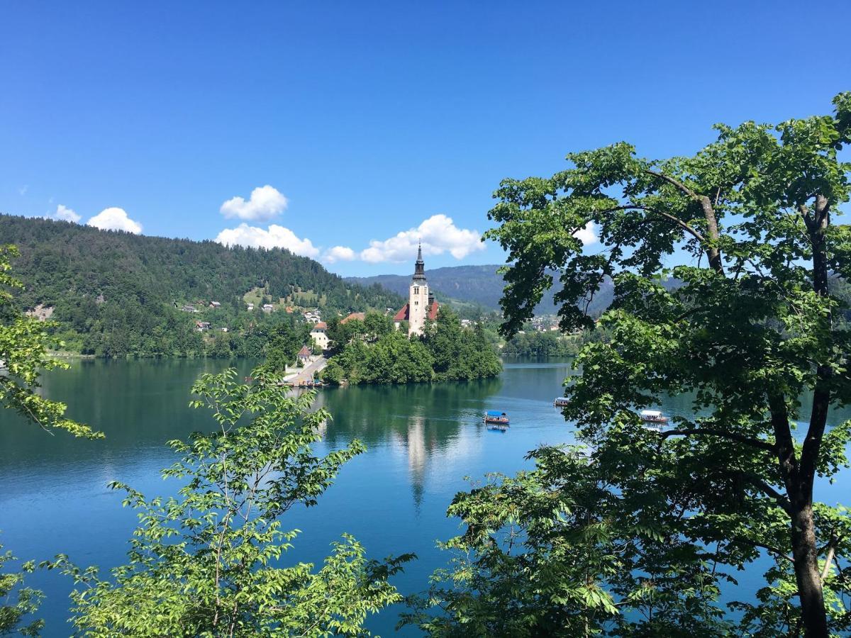 Sobe Brezje Panzió Kültér fotó